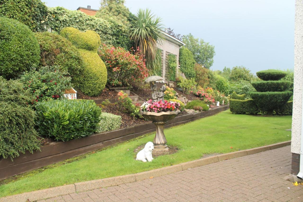 The Meadows B&B Armagh Exterior photo